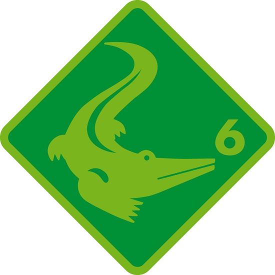 Image sur Schwimmkurs Krokodil