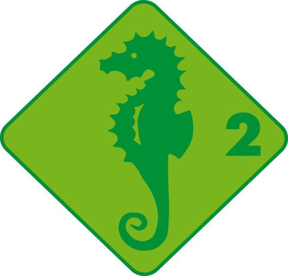 Image de Schwimmkurs Seepferd (ab 4 Jahren)